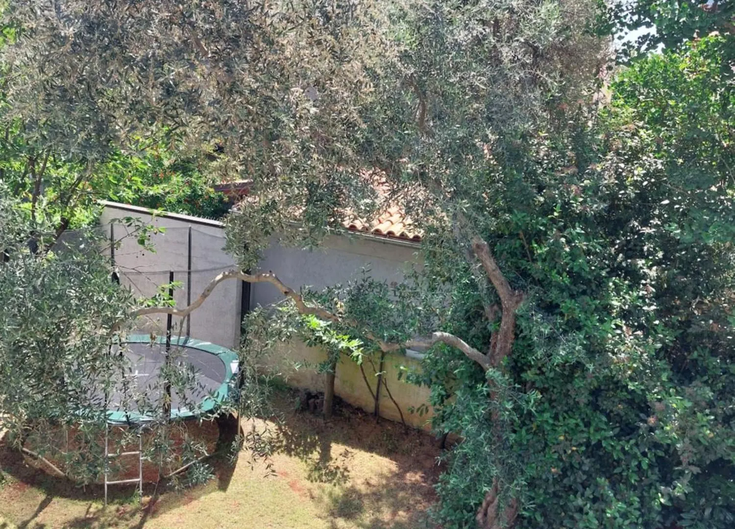 Apartments Dasara Ρόβινι 0*,